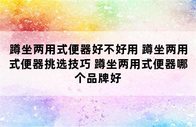 蹲坐两用式便器好不好用 蹲坐两用式便器挑选技巧 蹲坐两用式便器哪个品牌好